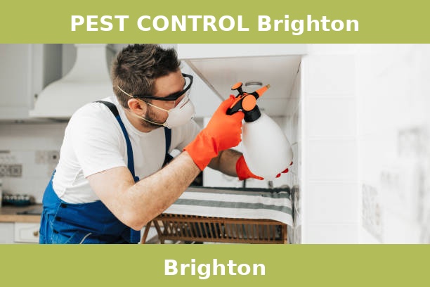 PEST CONTROL Brighton